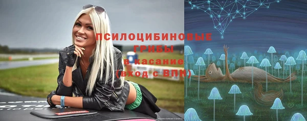 прущая мука Нея