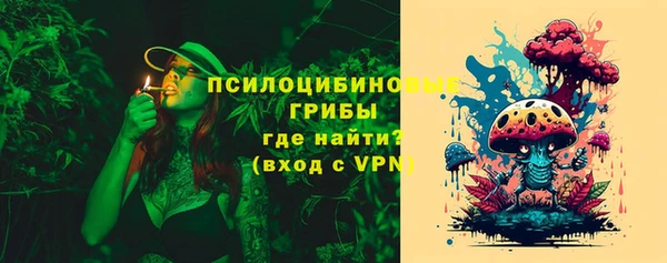 прущая мука Нея