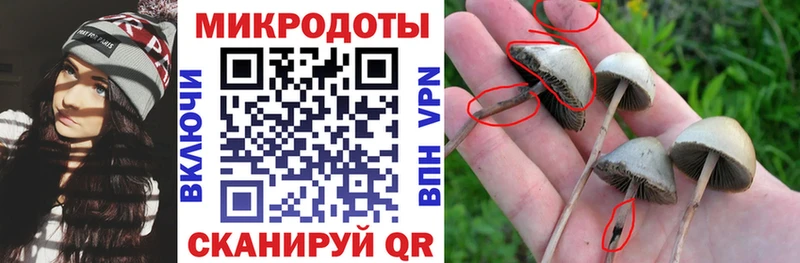 хочу наркоту  Мытищи  Псилоцибиновые грибы Psilocybe 