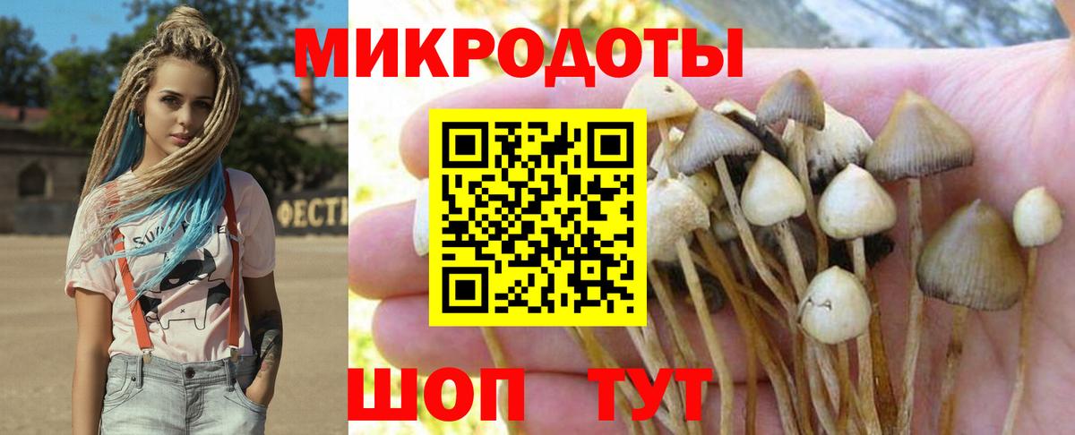 Псилоцибиновые грибы мухоморы Мытищи